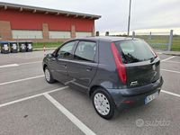 Usata Fiat Punto Active 60 CV (44 kW) 2009 Grigio Utilitaria