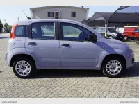 Usata Fiat Panda Easy 69 CV (50 kW) 2019 Grigio Utilitaria