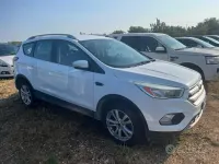 Usata Ford Kuga Titanium 120 CV (88 kW) 2017 Bianco SUV