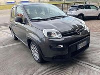 Usata Fiat Panda City Life 69 CV (50 kW) 2023 Grigio Utilitaria