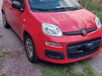 Usata Fiat Panda Easy 69 CV (50 kW) 2019 Rosso Utilitaria