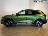 Usata Ford Kuga Active X 179 CV (131 kW) 2024 Verde SUV