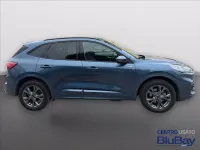 Usata Ford Kuga ST-Line X 225 CV (165 kW) 2023 Blu SUV
