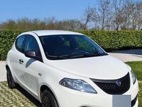 Usata Lancia Ypsilon 69 CV (50 kW) 2019 Bianco Utilitaria
