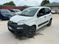 Usata Fiat Panda 4x4 Pop 85 CV (62 kW) 2021 Bianco Utilitaria