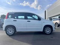 usata Fiat Panda 1.2 GPL Pop Van 2 posti del 2019 usata a Massarosa