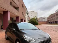Usata Ford Fiesta Titanium 86 CV (63 kW) 2019 Grigio Utilitaria