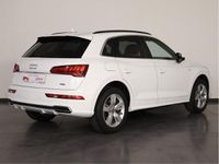 usata Audi Q5 40 2.0 tdi s line plus quattro 190cv s-tronic