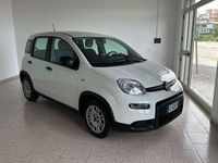 Usata Fiat Panda S 70 CV (51 kW) 2024 Bianco Utilitaria