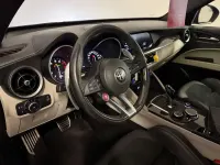 Usata Alfa Romeo Stelvio Quadrifoglio Verde 510 CV (375 kW) 2019 Bluazzurro SUV