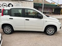 usata Fiat Panda 1.2 Easy