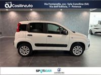 usata Fiat Panda 4x4 0.9 TwinAir Turbo S&S Pop Van 2 posti Iva ESCL