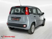 Usata Fiat Panda Easy 69 CV (50 kW) 2019 Grigio Utilitaria