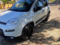 Usata Fiat Panda 4x4 2020 Bianco Utilitaria