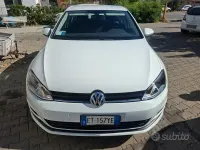 Usata VW Golf Plus Cross Comfortline 110 CV (80 kW) 2014 Bianco Monovolume