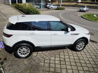 Usata Land Rover Range Rover evoque 190 CV (139 kW) 2012 Bianco SUV