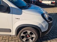 Usata Fiat Panda S 69 CV (50 kW) 2023 Bianco Utilitaria