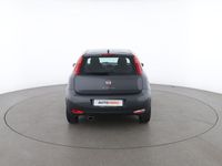 usata Fiat Punto 1.2 8V 5 porte Lounge