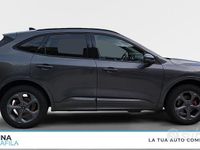 Usata Ford Kuga ST-Line X 243 CV (178 kW) 2025 Grigio SUV