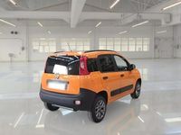 Usata Fiat Panda 4x4 Pop 80 CV (58 kW) 2017 Utilitaria