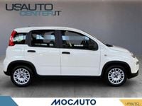 Usata Fiat Panda 69 CV (50 kW) 2023 Bianco Utilitaria