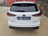 Usata Lexus NX300h F Sport 197 CV (144 kW) 2018 SUV