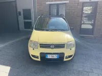 Usata Fiat Panda 4x4 Climbing 69 CV (50 kW) 2005 Giallo Utilitaria