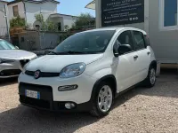 Usata Fiat Panda S 70 CV (51 kW) 2024 Bianco Utilitaria