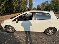 Usata Fiat Punto Evo Active 65 CV (47 kW) 2013 Utilitaria