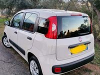 usata Fiat Panda 1.2 Easy 20217 km 40.000