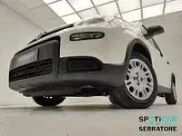 Usata Fiat Panda 69 CV (50 kW) 2024 Bianco Utilitaria