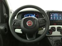 Usata Fiat Panda Cross Cross 71 CV (52 kW) 2025 Rosso Utilitaria