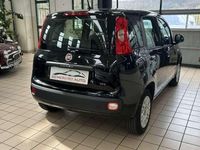 Usata Fiat Panda Easy 69 CV (50 kW) 2020 Nero Utilitaria