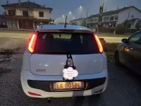 Usata Fiat Punto Evo Sport 95 CV (69 kW) 2011 Utilitaria