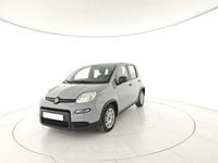 Usata Fiat Panda S 69 CV (50 kW) 2023 Grigio Utilitaria