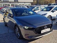 usata Mazda 3 Hatchback 2.0L e-Skyactiv-G M Hybrid Executive del 2019 usata a Trento