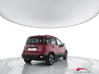 Usata Fiat Panda Cross Cross 69 CV (50 kW) 2025 Rosso Utilitaria