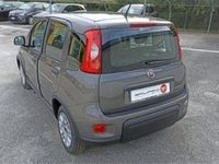 usata Fiat Panda 1.0 firefly hybrid s