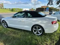 Usata Audi A5 Cabriolet Ambition 160 CV (117 kW) 2011 Bianco Cabrio