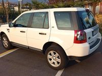 Usata Land Rover Freelander 2 160 CV (117 kW) 2009 Bianco SUV