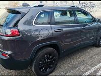 Usata Jeep Cherokee Longitude 2019 Grigio SUV