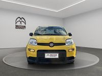 Usata Fiat Panda S 70 CV (51 kW) 2024 Giallo Utilitaria
