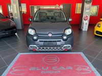 Usata Fiat Panda Cross Cross 69 CV (50 kW) 2019 Grigio Utilitaria