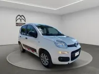 Usata Fiat Panda 4x4 Pop 85 CV (62 kW) 2020 Bianco Utilitaria