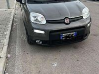 Usata Fiat Panda Red 69 CV (50 kW) 2022 Utilitaria