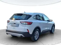 Usata Ford Kuga Business Edition 120 CV (88 kW) 2021 Bianco SUV