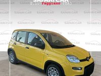 Nuova Fiat Panda S 70 CV (51 kW) 2025 Giallo Utilitaria
