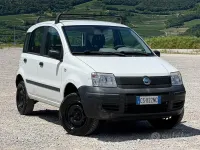 Usata Fiat Panda 4x4 60 CV (44 kW) 2005 Bianco Utilitaria