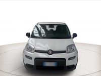 Usata Fiat Panda City Life 70 CV (51 kW) 2022 Bianco