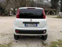 Usata Fiat Panda 4x4 Pop 86 CV (63 kW) 2020 Bianco Utilitaria